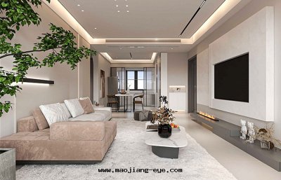 博維美(měi)墅精裝(zhuāng)修工程